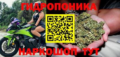 прущие крисы Пушкино