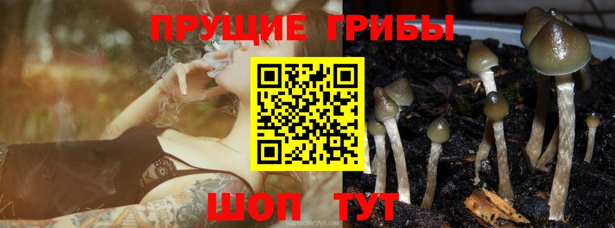 Галлюциногенные грибы MAGIC MUSHROOMS Сорочинск